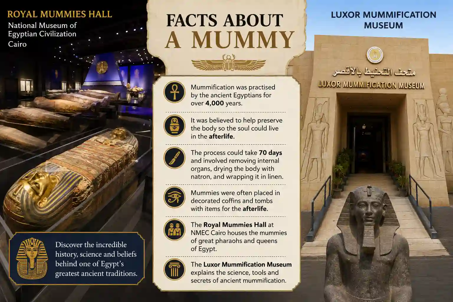 facts-about-a-mummy-Royal-Mummies-Hall-NMEC-Cairo