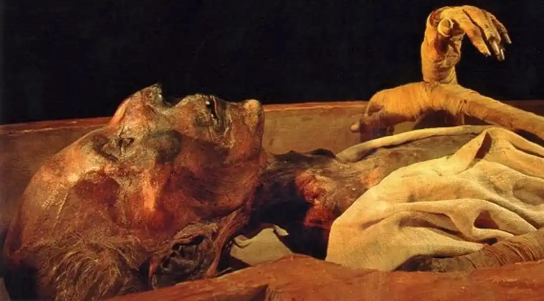 facts-about-a-mummy-Ramesses-II-royal-mummy-National-Museum-of-Egyptian-Civilization