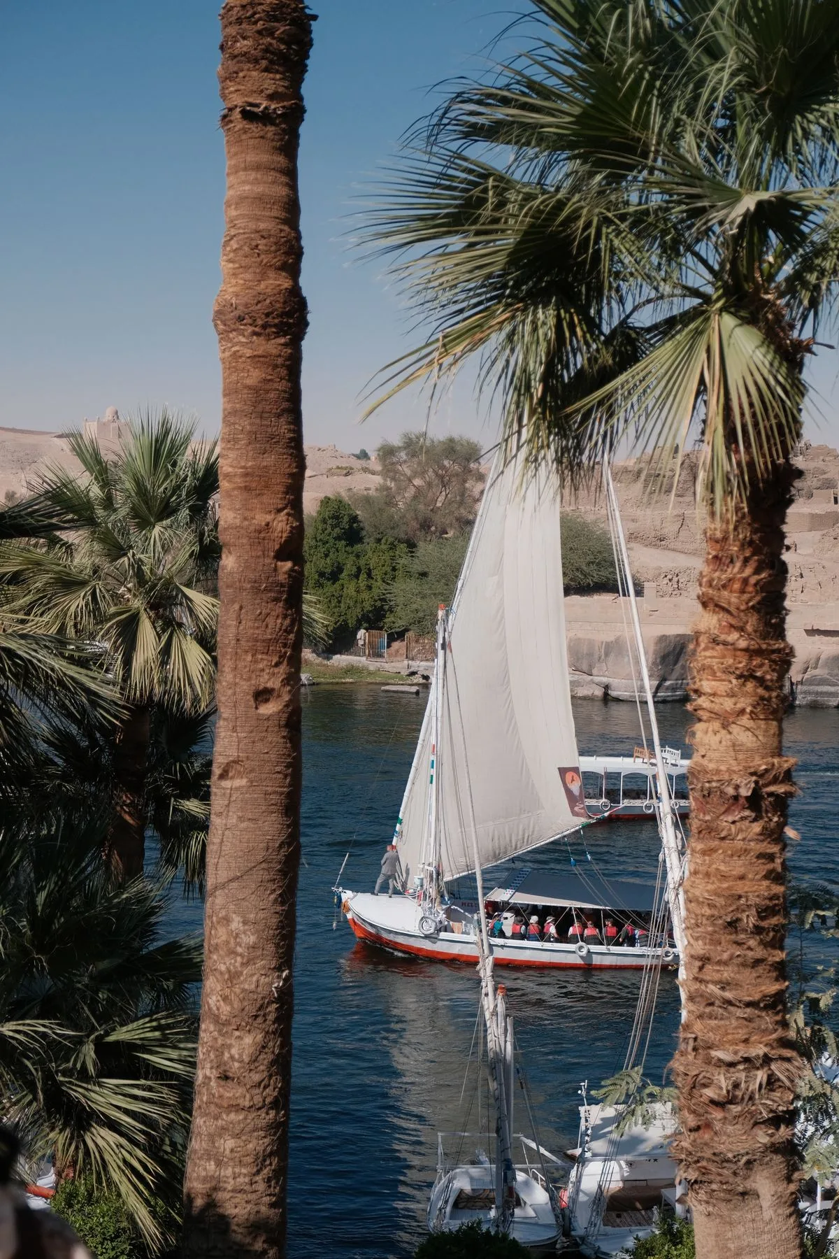 One day in Luxor - felucca sailing the Nile