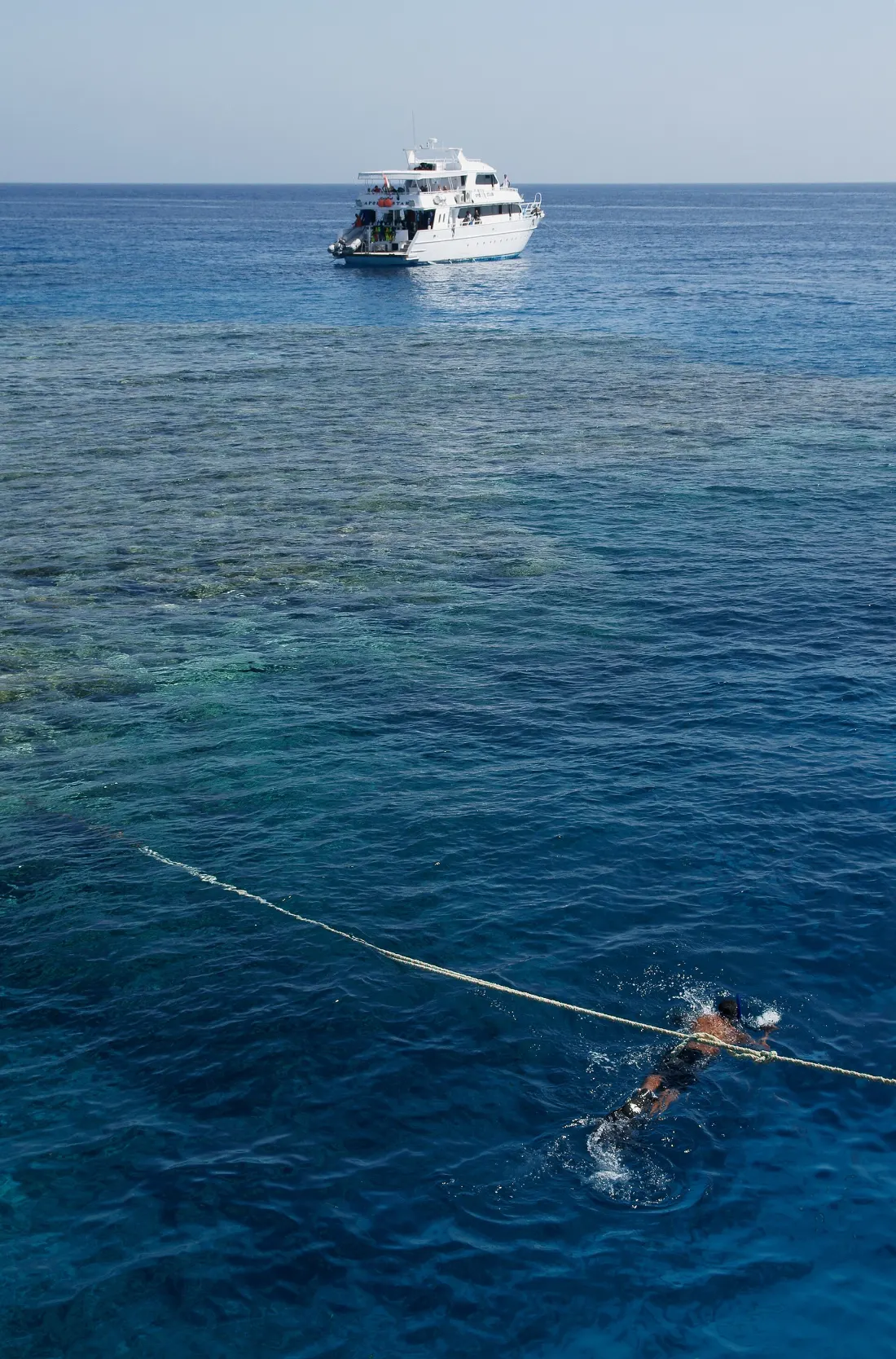 Red Sea reef near Hurghada, Egypt