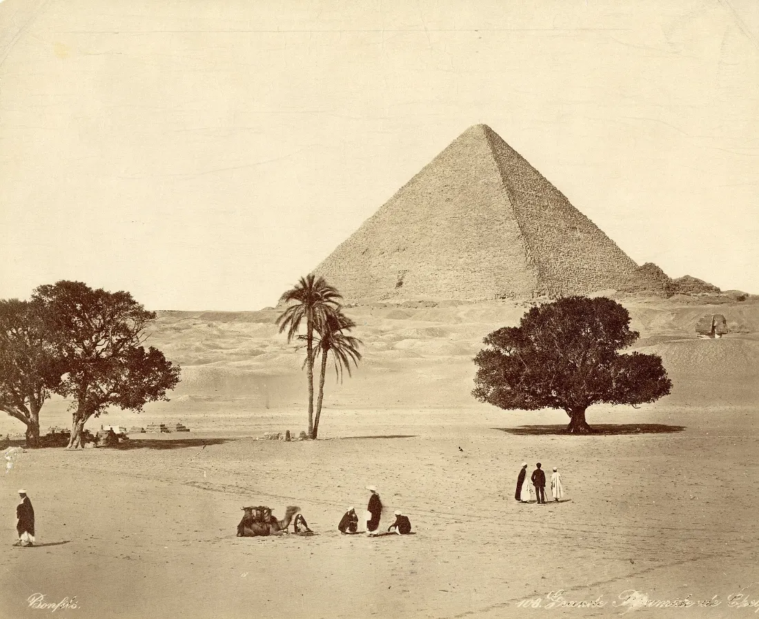 Panoramic view of the Giza pyramids with camels