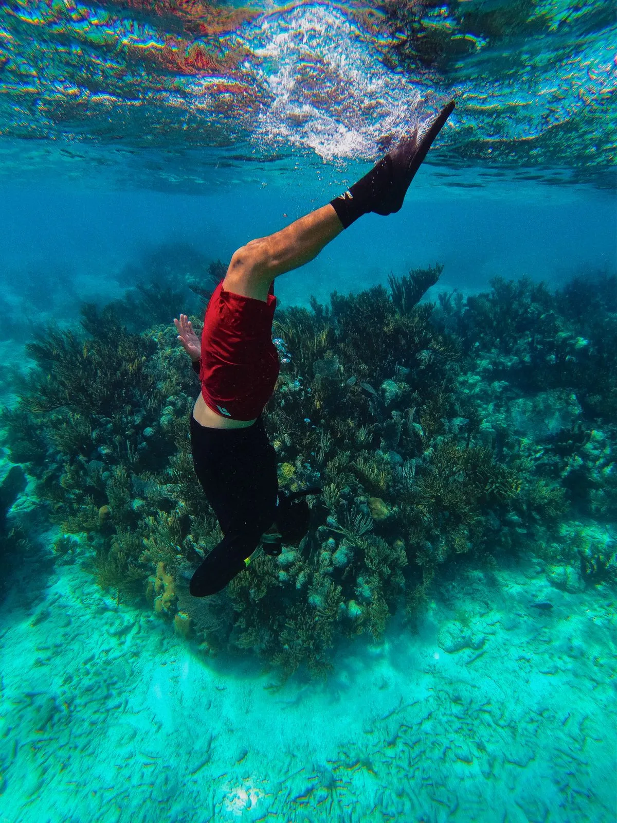 Snorkeling in Hurghada - colourful reef fish