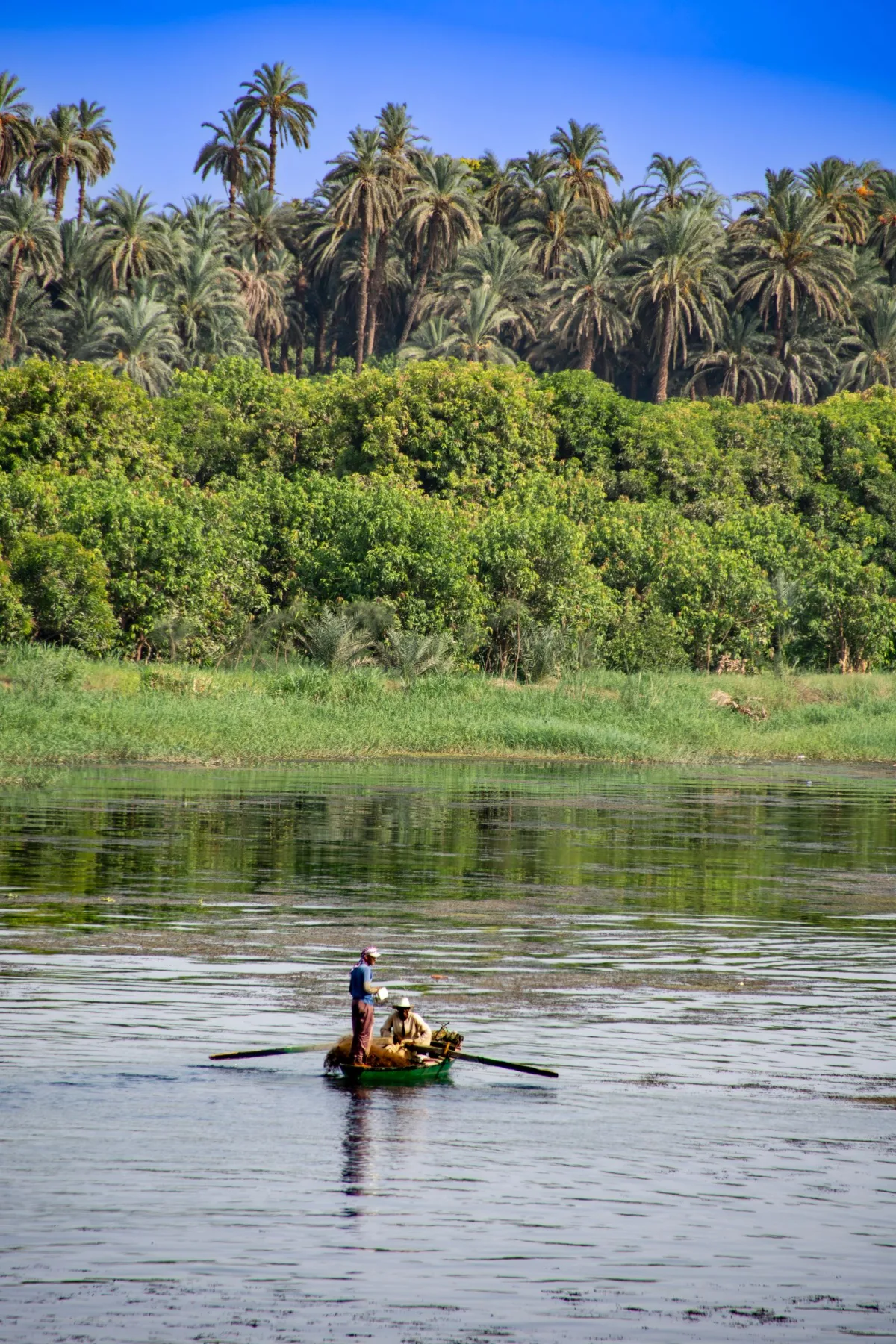 Things to do in Egypt - felucca and cruise boats on the Nile