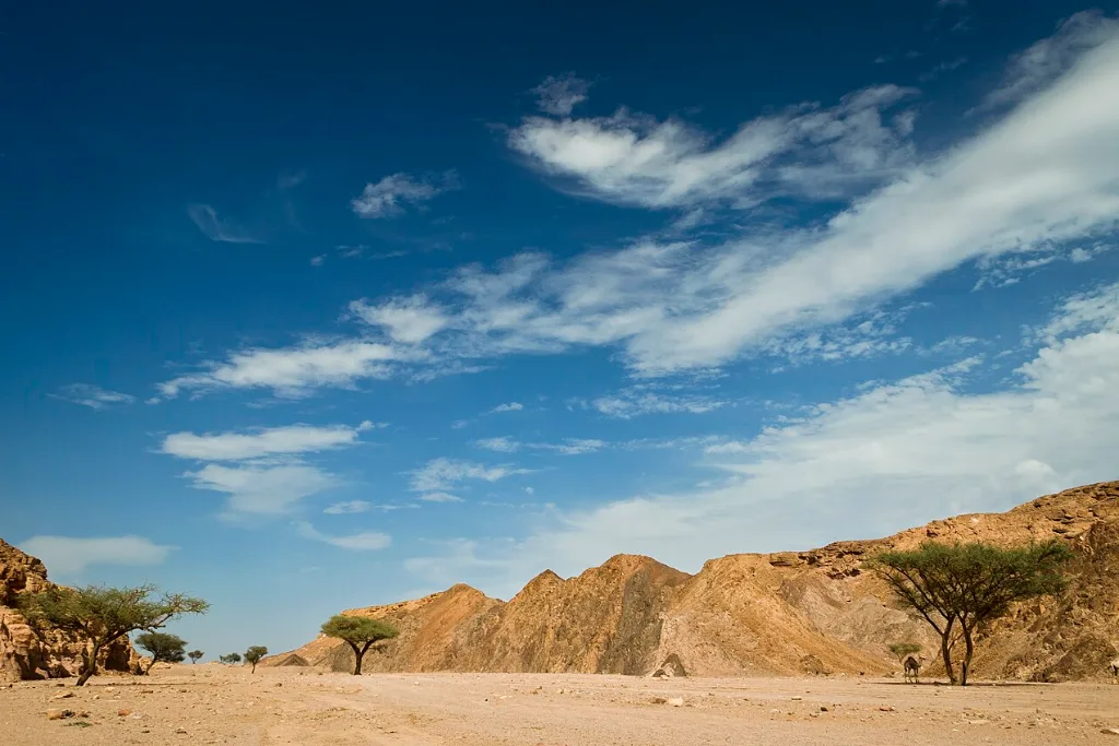 Sinai desert under a bright sky on vacations after Christmas