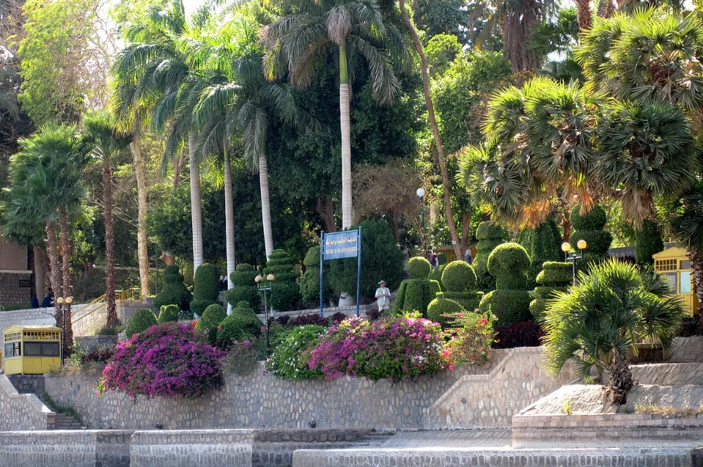 Palms and flowering shrubs in Aswan Botanical Garden, a green stop on warm Christmas vacations